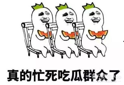 娱乐之星吃瓜群众是谁啊,揭秘娱乐圈神秘幕后推手