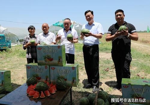 娱乐吃瓜酱小城市,娱乐吃瓜酱的趣味解读