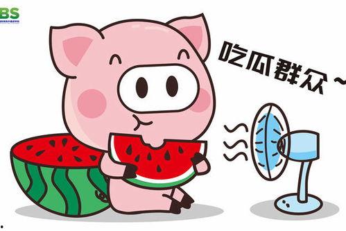 吃瓜群众的娱乐八卦,明星秘闻大揭秘