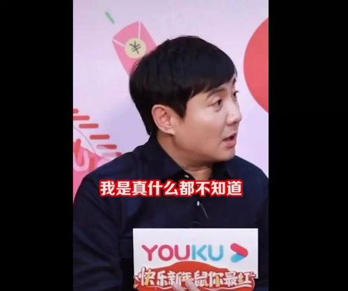 吃瓜娱乐小能手,吃瓜娱乐小能手带你领略明星幕后故事