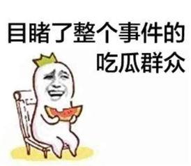 娱乐吃瓜酱剪发不用内耗,娱乐吃瓜酱剪发新风尚