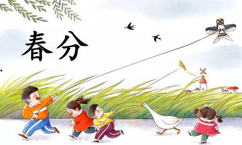 娱乐吃瓜酱风筝,揭秘娱乐圈背后的那些事儿