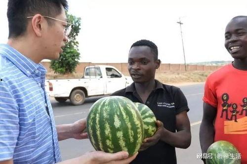 娱乐吃瓜酱做什么会加分,解锁加分技能，轻松成为圈粉达人