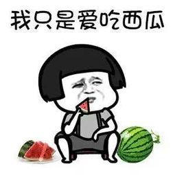 娱乐吃瓜酱意味着什么,网络热词背后的文化现象与心理解读