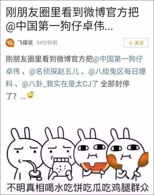 娱乐吃瓜酱名言大全,揭秘娱乐圈那些鲜为人知的幕后真相