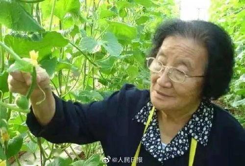 娱乐吃瓜君高压水枪,高压水枪背后的娱乐风云