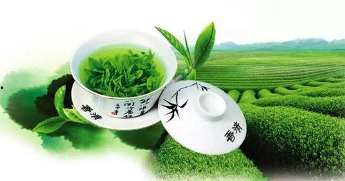 娱乐吃瓜酱绿茶,网络红人的崛起与争议