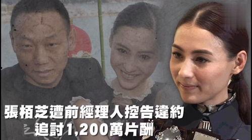 娱乐吃瓜吐槽,吃瓜吐槽，揭秘明星幕后故事