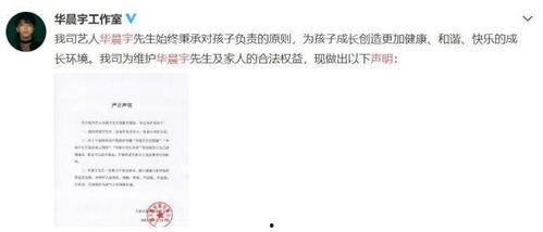 娱乐圈吃瓜的文件,幕后真相与明星隐私曝光