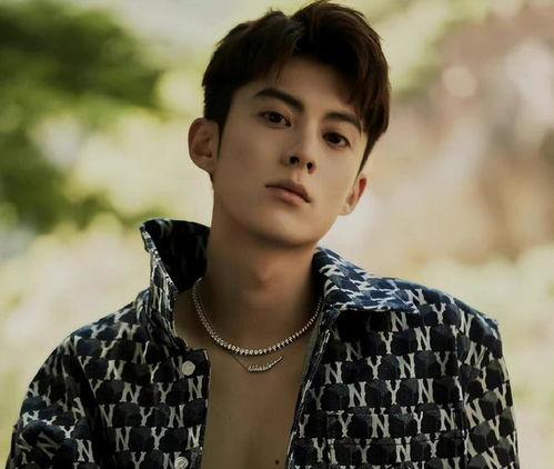 吃瓜娱乐酱王鹤棣,从吃瓜娱乐酱到当红小生的华丽蜕变