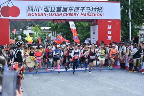 娱乐吃瓜酱中华文化,解码中华文化中的趣味与智慧