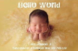 吃瓜娱乐圈吴佩慈,娱乐圈的瓜田女王，揭秘她的豪门生活与爱情故事