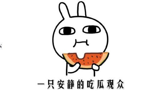 娱乐吃瓜君的消息准确吗,消息准确性揭秘