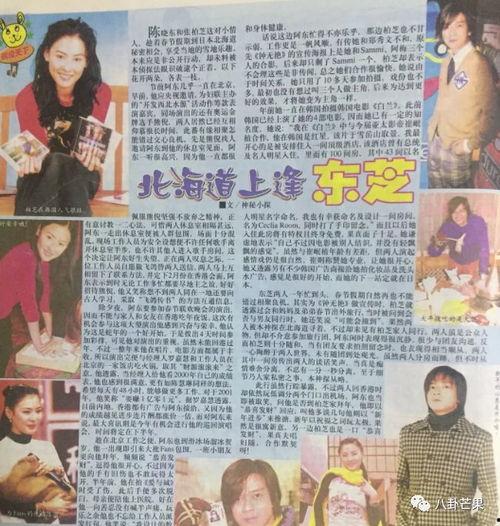 专业吃瓜娱乐圈小说,瓜田里的甜蜜陷阱