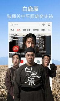 娱乐嘴炮吃瓜视频下载,揭秘娱乐圈幕后故事