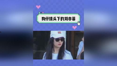 娱乐吃瓜日记,吃瓜日记背后的精彩故事