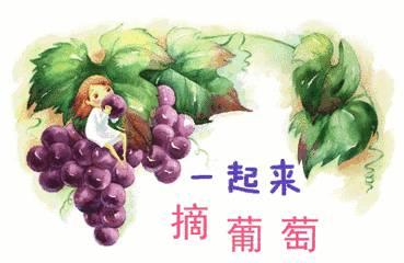 吃瓜娱乐背景板图片大全,盘点热门吃瓜娱乐背景板图片大全