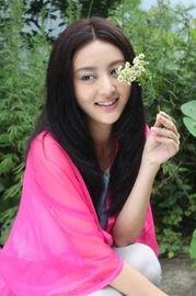 娱乐吃瓜酱火凤凰,娱乐吃瓜酱的传奇崛起之路